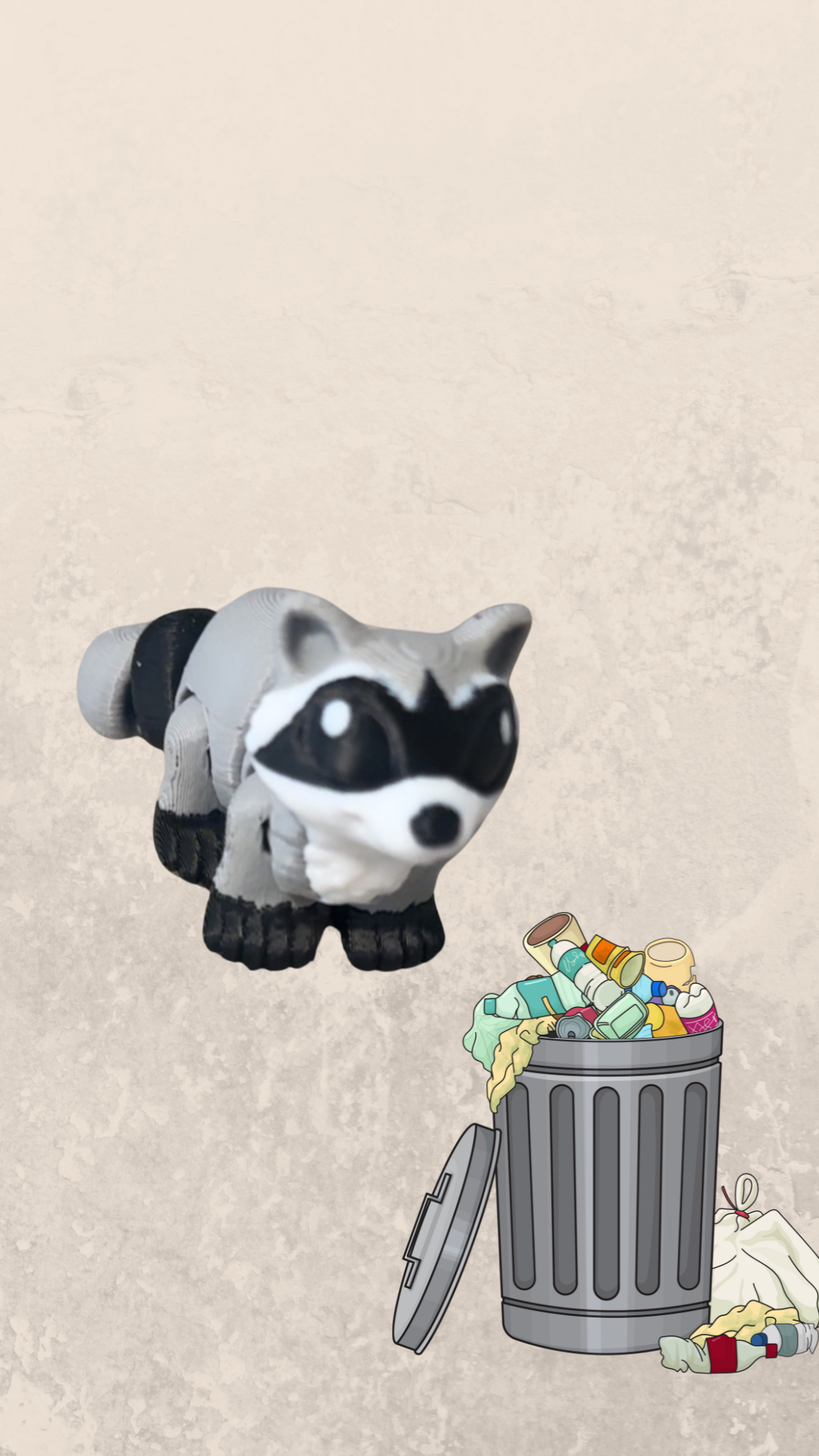 Baby Racoon