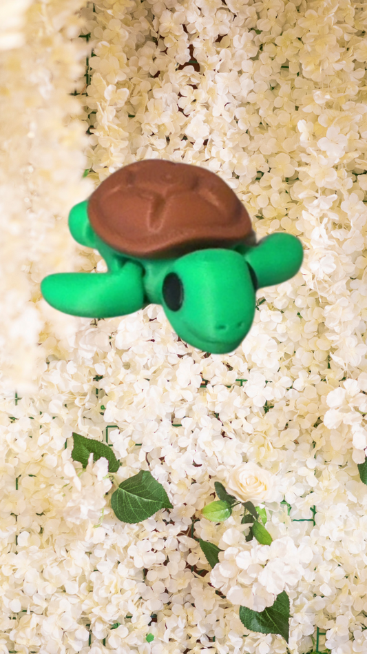 Baby Turtle