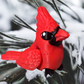 Cardinal