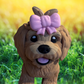 Golden doodle with Bow