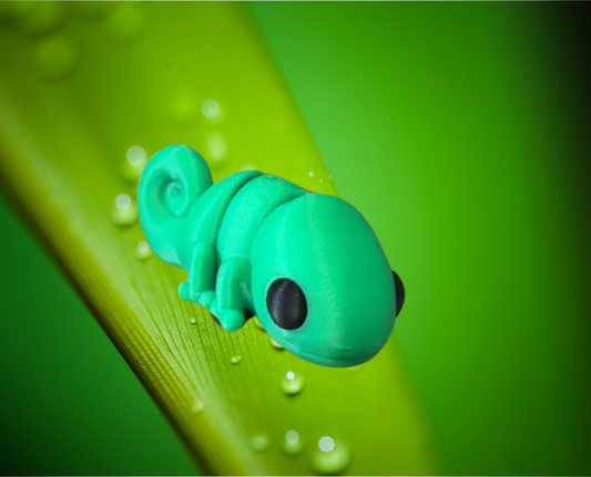 Baby Chameleon