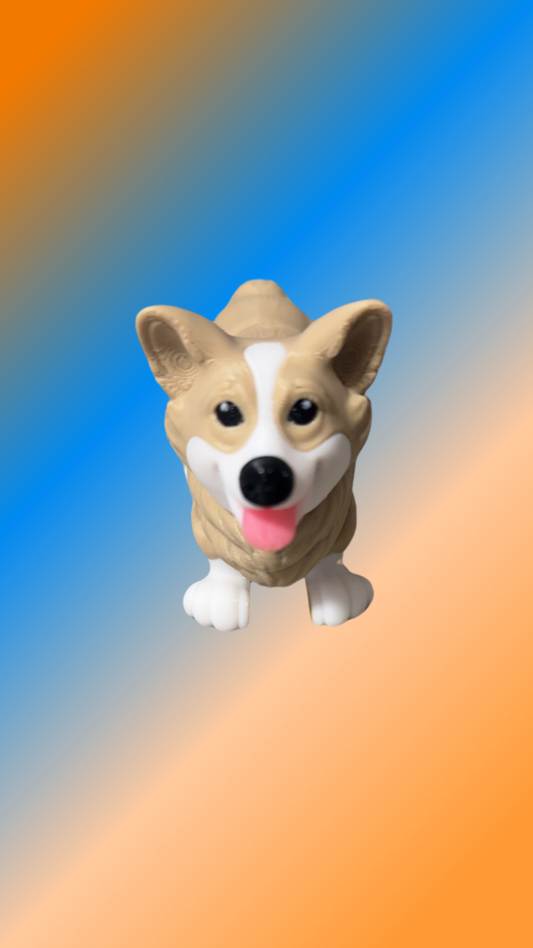 Corgi Dog