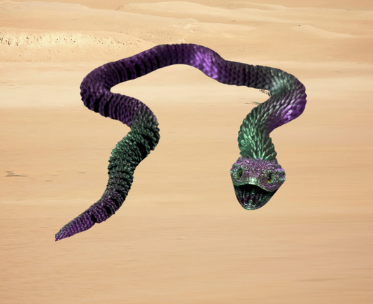 Two Tone Bush Snake