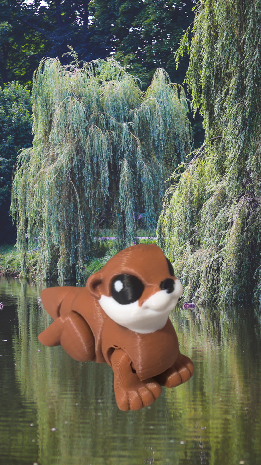 Baby River Otter