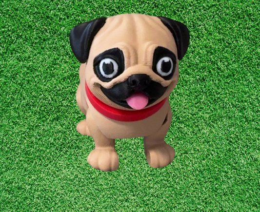 Pug