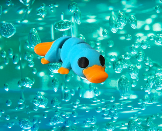 Baby Platypus
