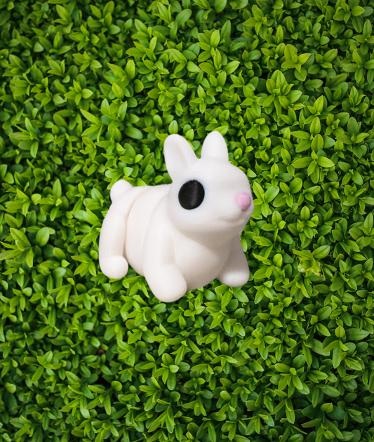 Bunny