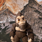 Big Foot