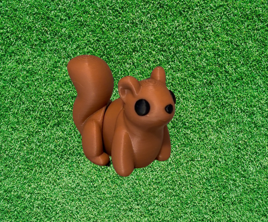 Baby Squirrel