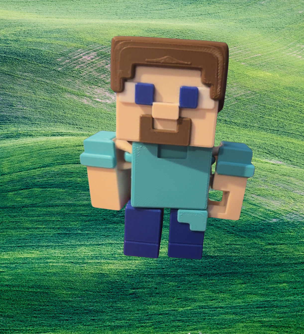 Steve Mini Figure