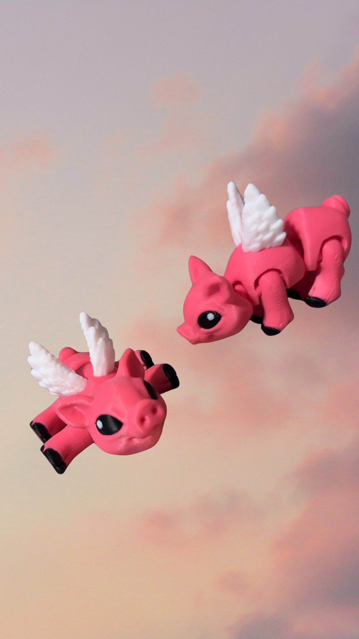 Flying Pig!
