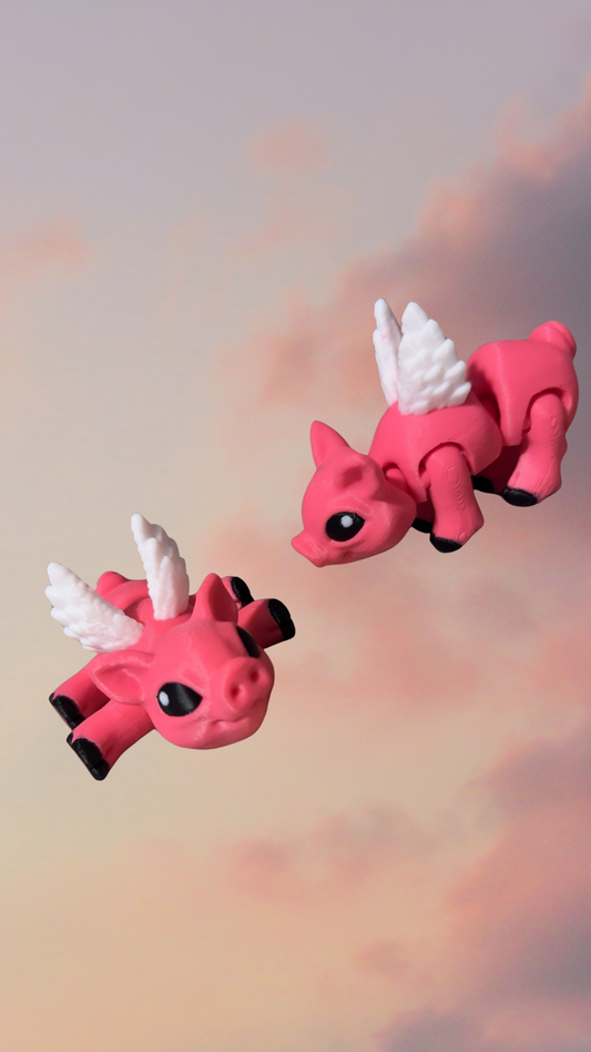 Flying Pig!