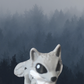 Baby Wolf