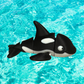 Mini Orca