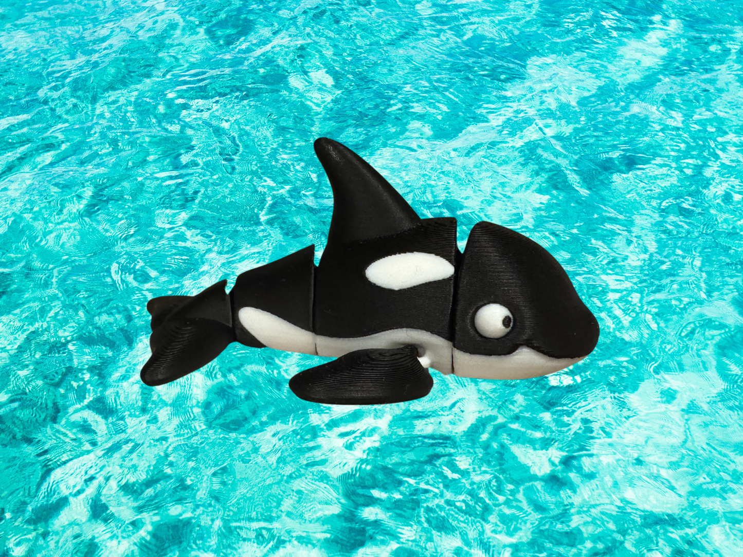 Mini Orca