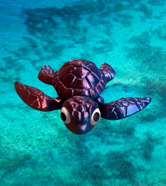 Sea Turtle