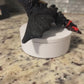 Mini  Toothless Dragon